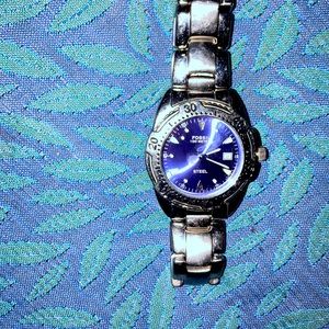 Old fossil divers watch